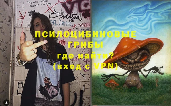 спайс Алзамай