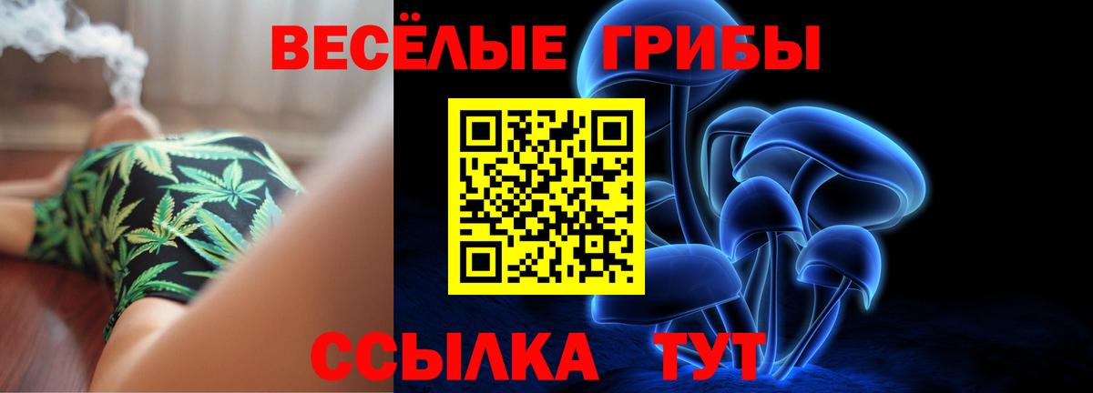 Галлюциногенные грибы Cubensis  Вход с VPN  продажа наркотиков  Камышлов 