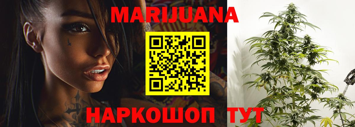Каннабис конопля Камышлов